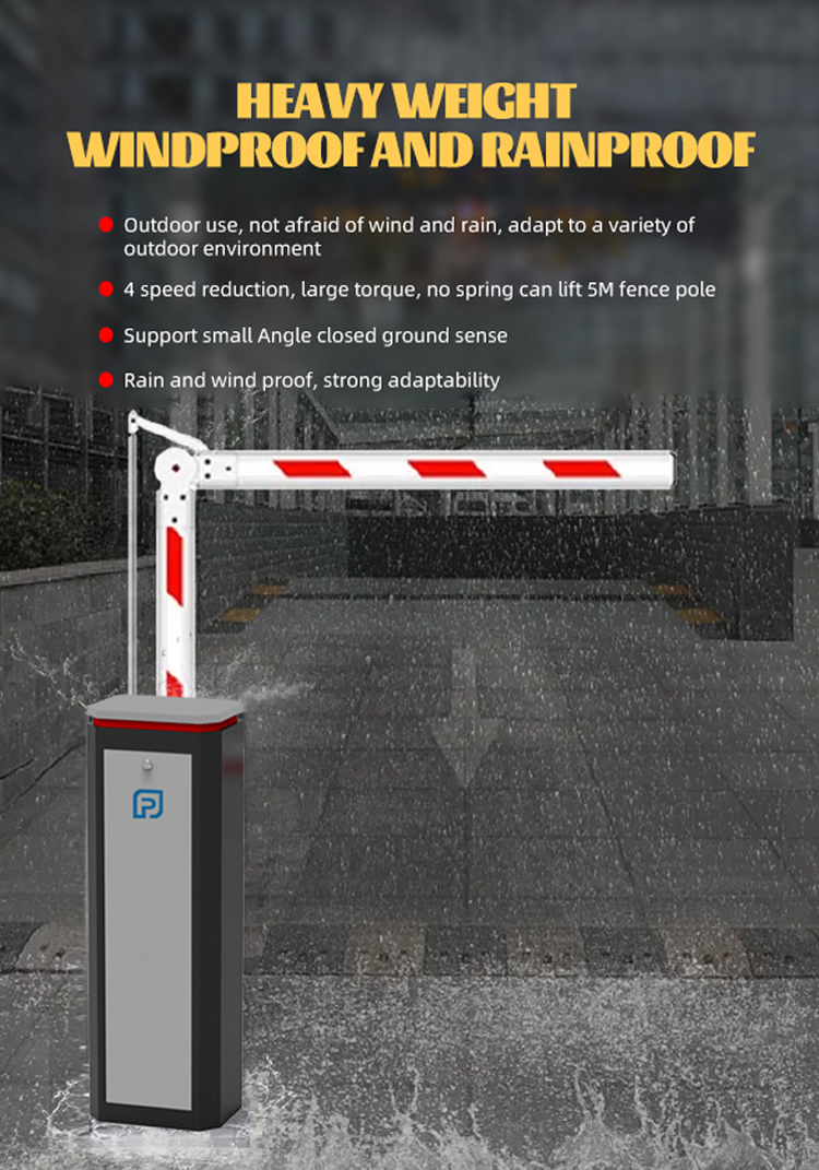 1745029956888981.jpg 1745029956888981.jpg